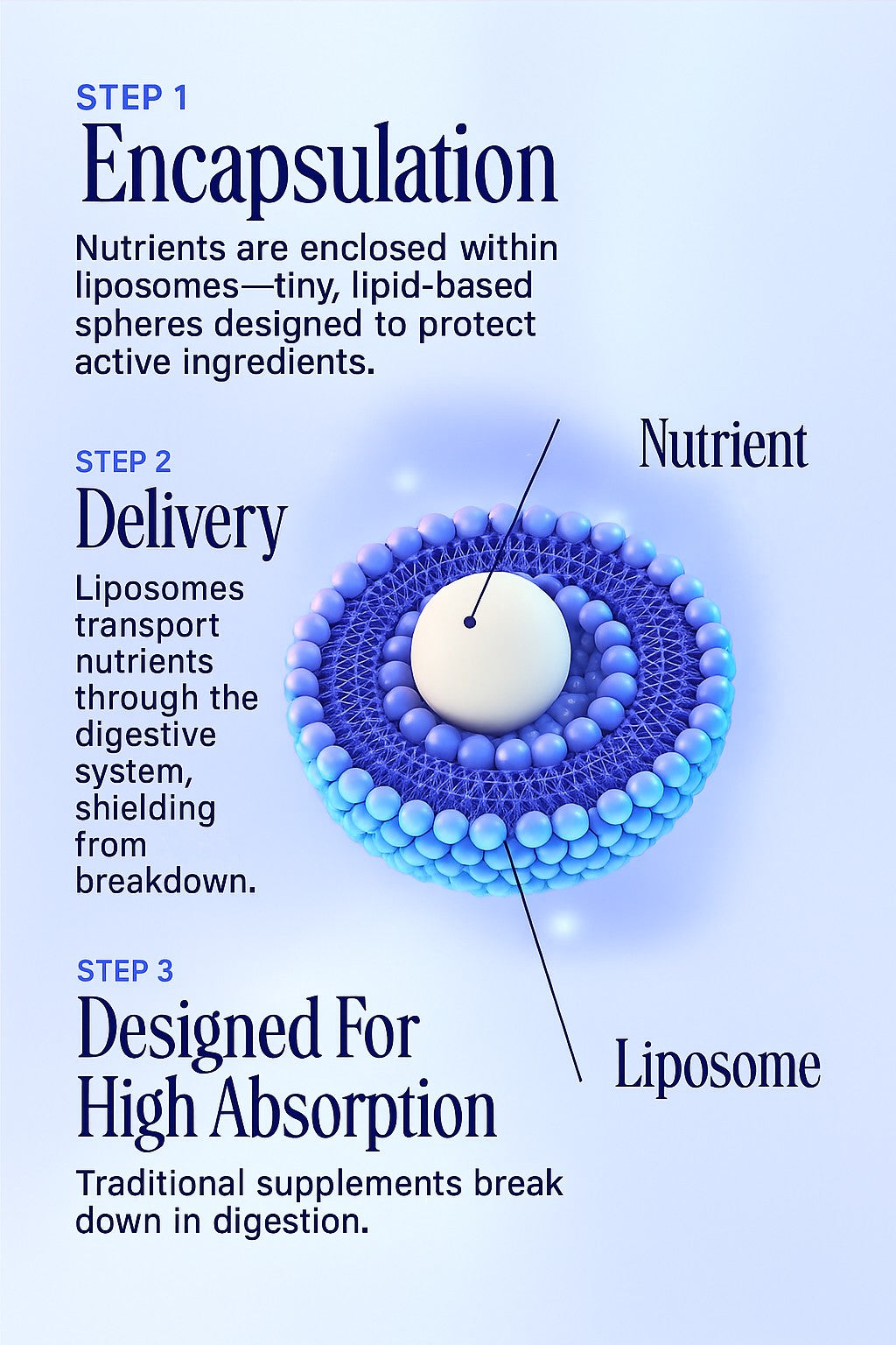 Liposomal NAD+
