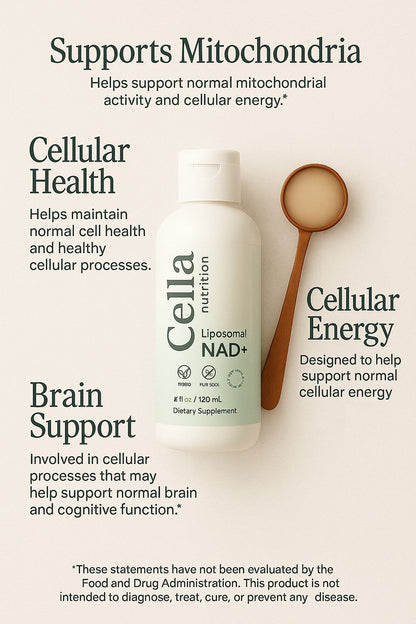 Liposomal NAD+