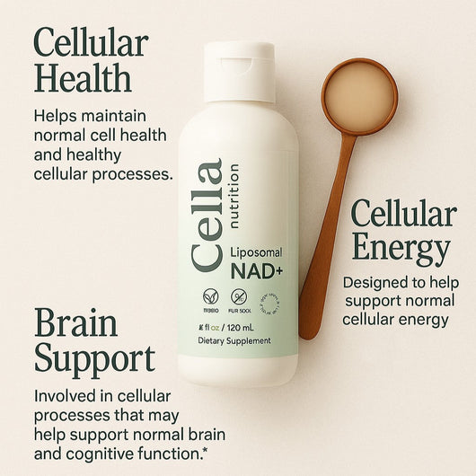 Liposomal NAD+