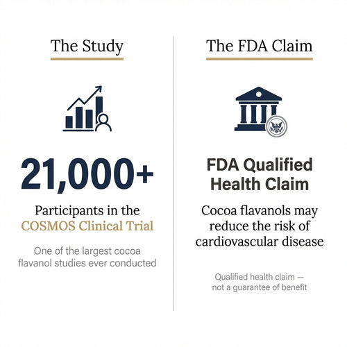 Cocoa Flavanols Muscle Complex